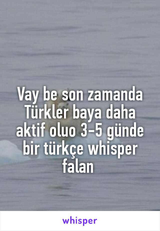 Vay be son zamanda Türkler baya daha aktif oluo 3-5 günde bir türkçe whisper falan 