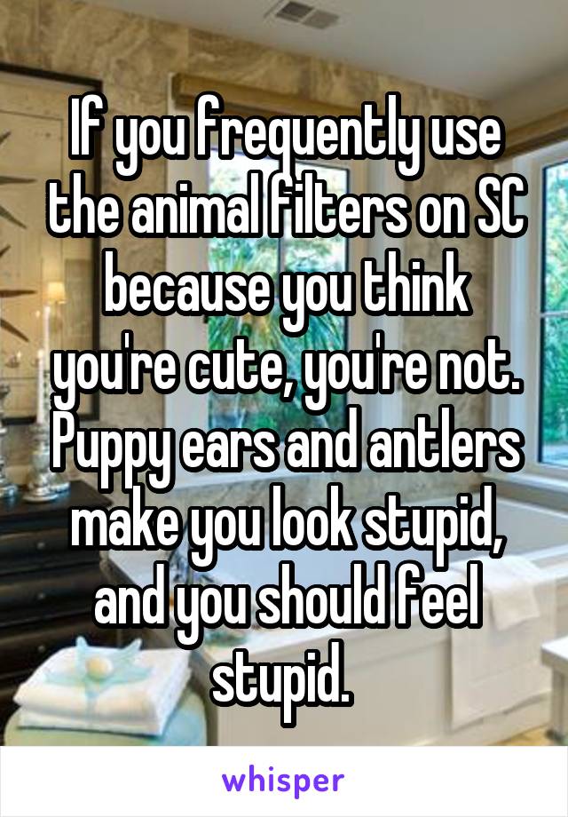 If you frequently use the animal filters on SC because you think you're cute, you're not. Puppy ears and antlers make you look stupid, and you should feel stupid. 