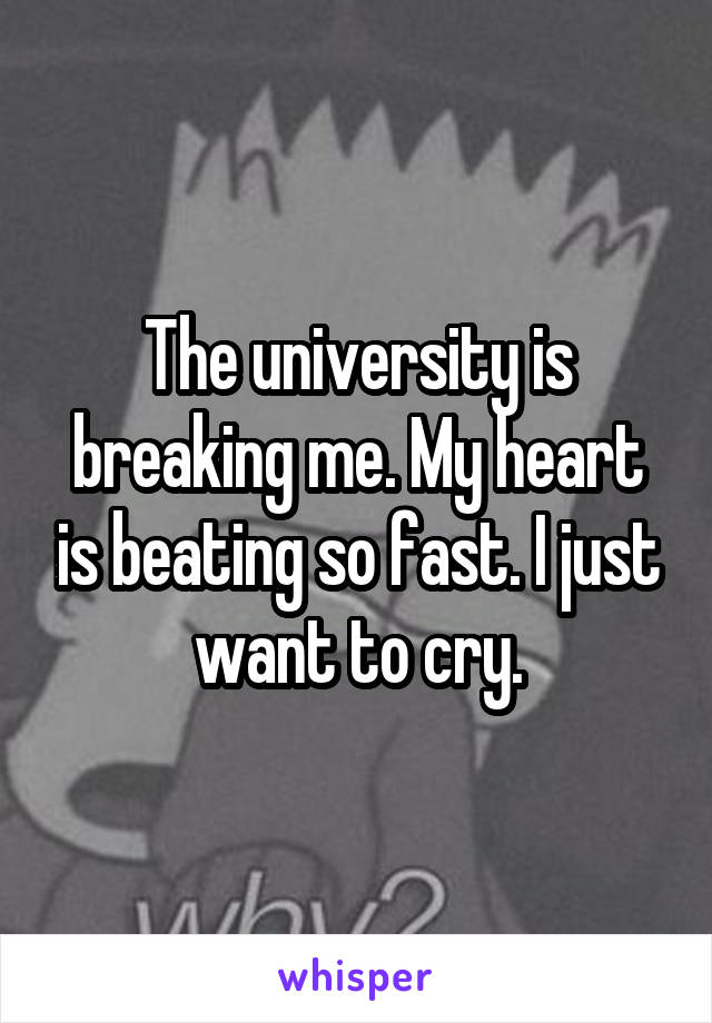 The university is breaking me. My heart is beating so fast. I just want to cry.