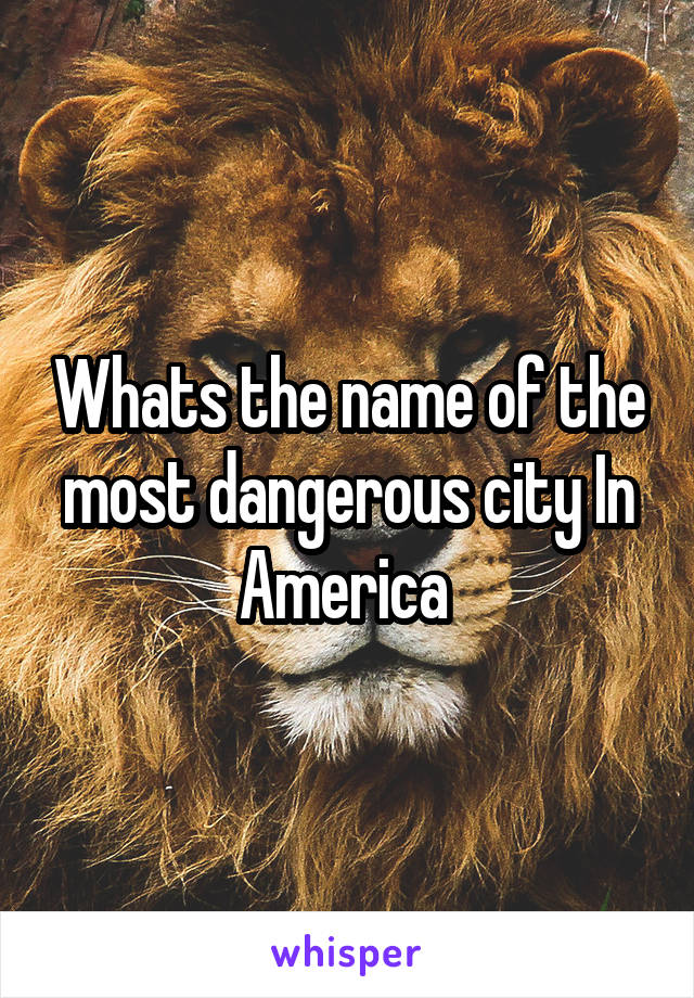 Whats the name of the most dangerous city In America 