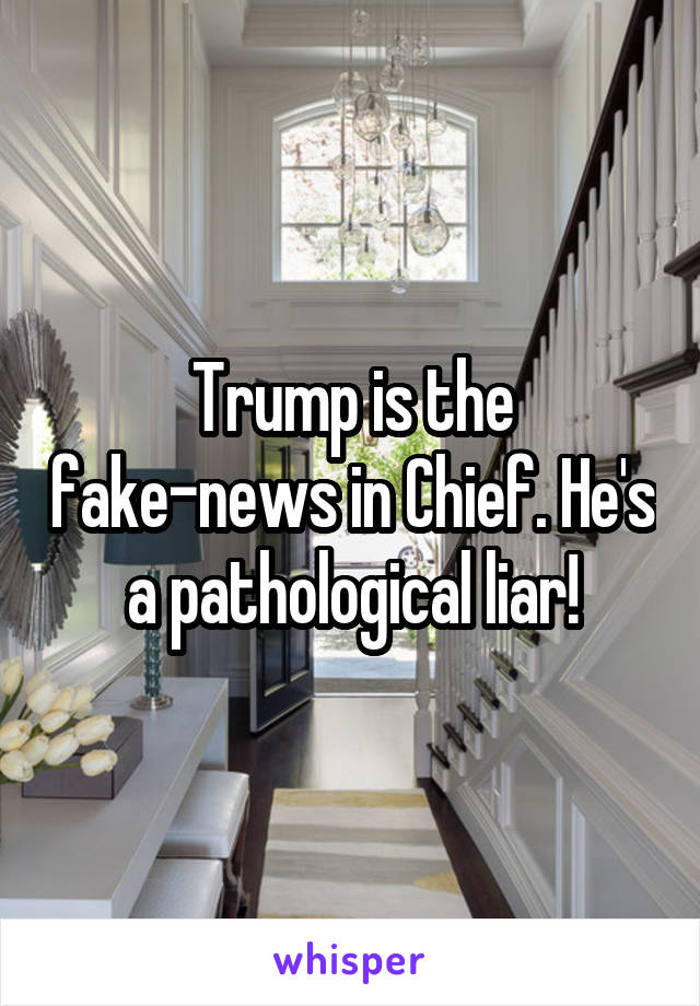 Trump is the fake-news in Chief. He's a pathological liar!