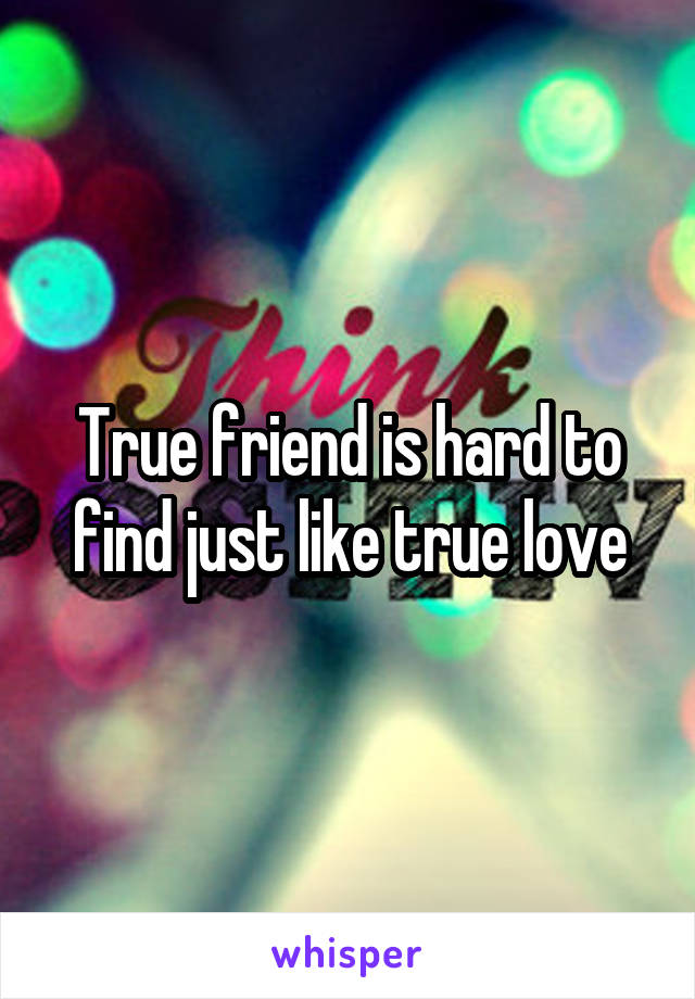 True friend is hard to find just like true love