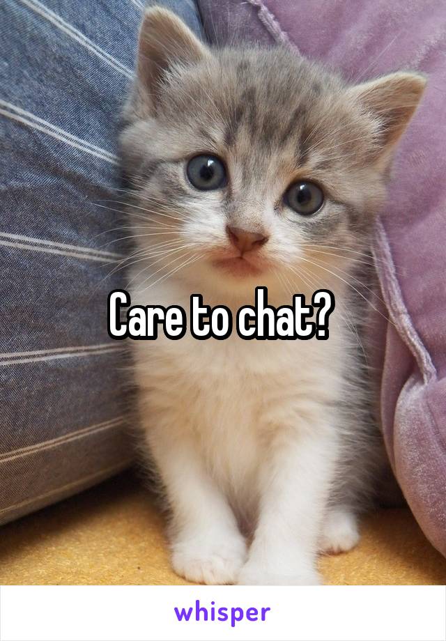 Care to chat? 