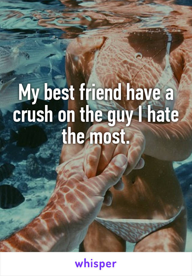 My best friend have a crush on the guy I hate the most.

