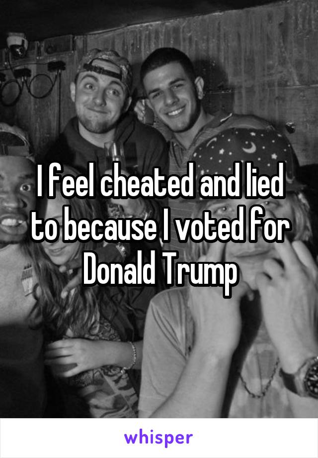 I feel cheated and lied to because I voted for Donald Trump