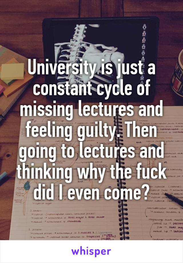 University is just a constant cycle of missing lectures and feeling guilty. Then going to lectures and thinking why the fuck did I even come?