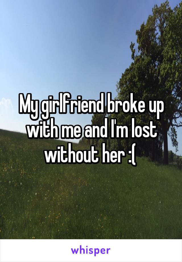 My girlfriend broke up with me and I'm lost without her :( 