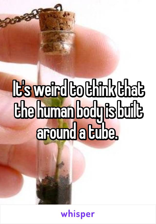 It's weird to think that the human body is built around a tube. 