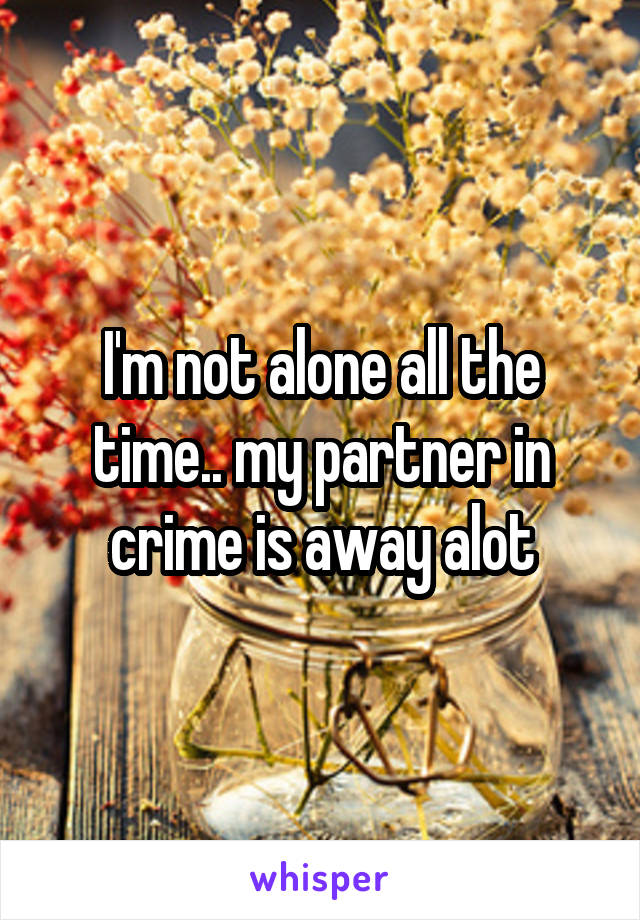 I'm not alone all the time.. my partner in crime is away alot