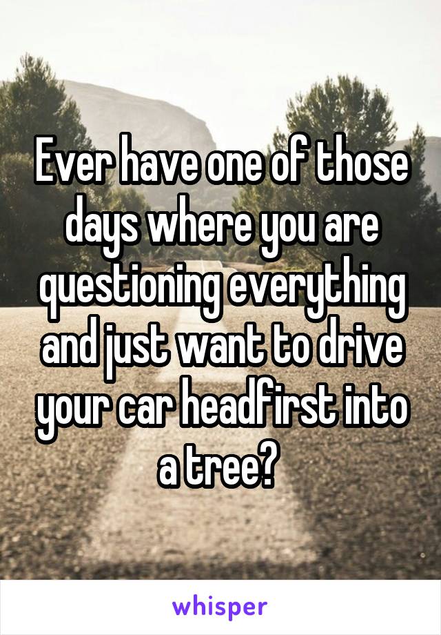 Ever have one of those days where you are questioning everything and just want to drive your car headfirst into a tree? 