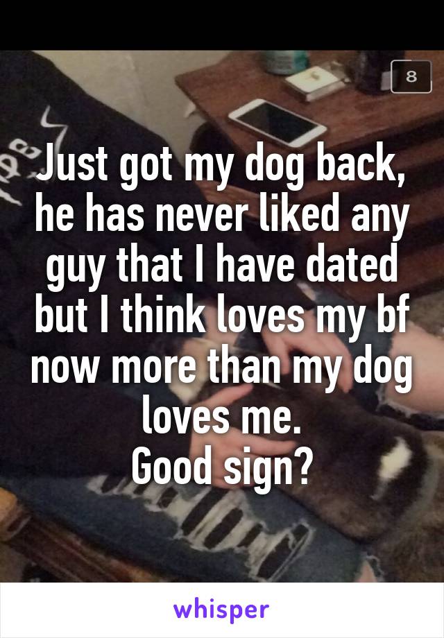 Just got my dog back, he has never liked any guy that I have dated but I think loves my bf now more than my dog loves me.
Good sign?