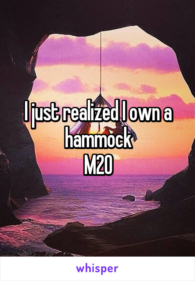 I just realized I own a hammock
M20