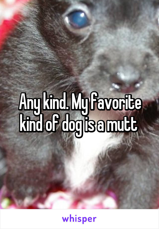 Any kind. My favorite kind of dog is a mutt 