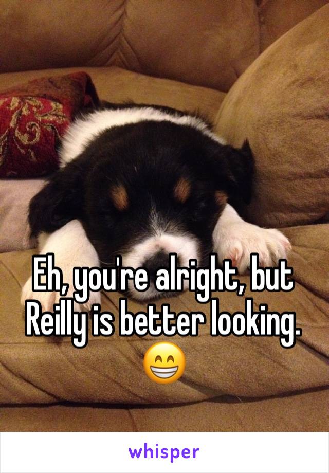 



Eh, you're alright, but Reilly is better looking. 
😁