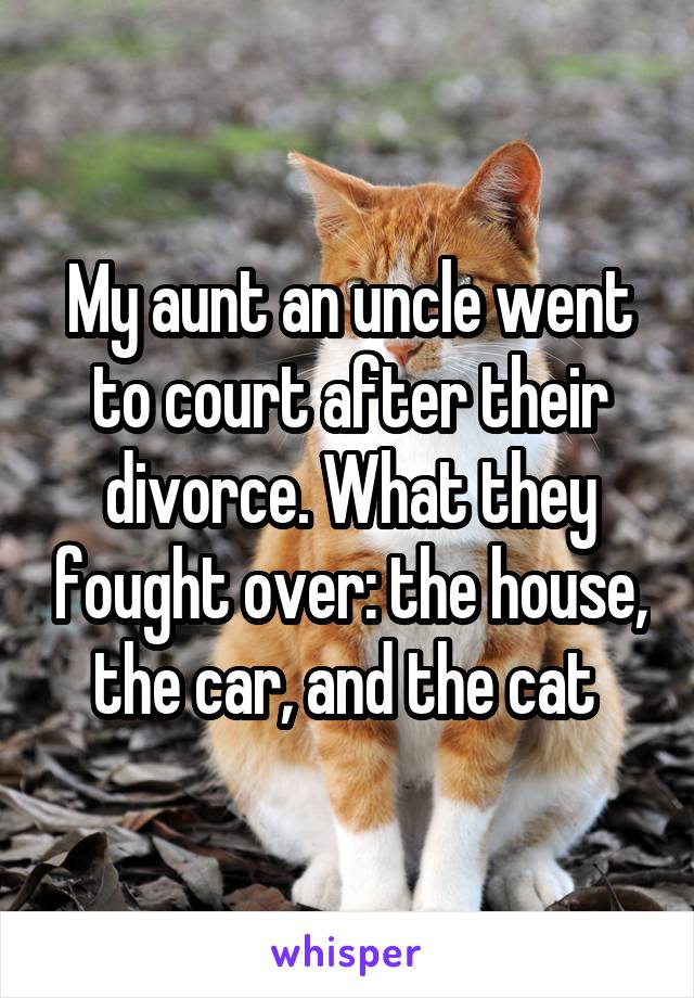 My aunt an uncle went to court after their divorce. What they fought over: the house, the car, and the cat 