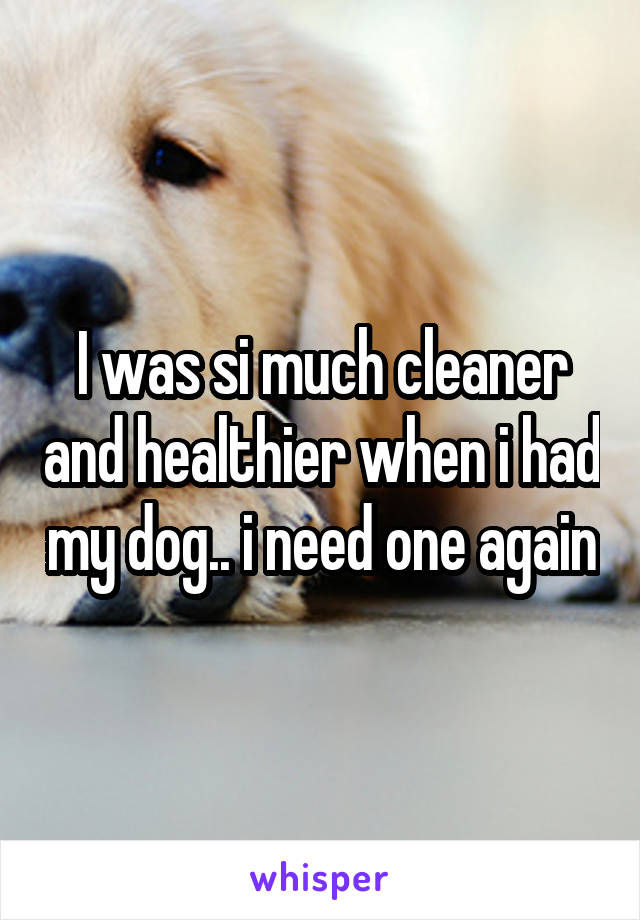 I was si much cleaner and healthier when i had my dog.. i need one again