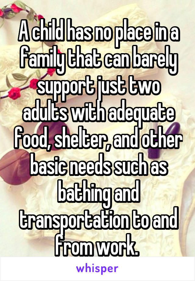 A child has no place in a family that can barely support just two adults with adequate food, shelter, and other basic needs such as bathing and transportation to and from work. 