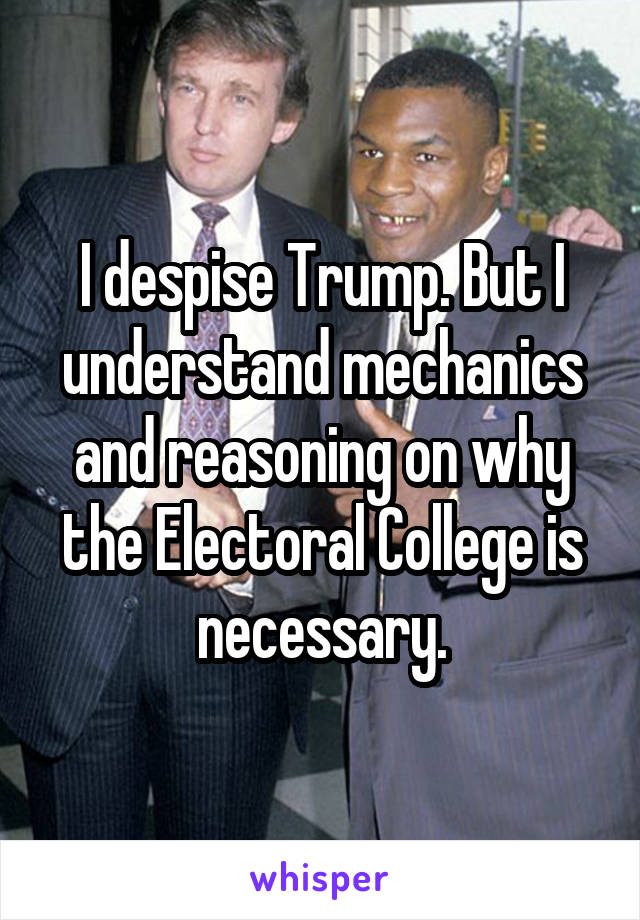 I despise Trump. But I understand mechanics and reasoning on why the Electoral College is necessary.