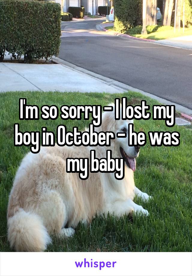 I'm so sorry - I lost my boy in October - he was my baby 