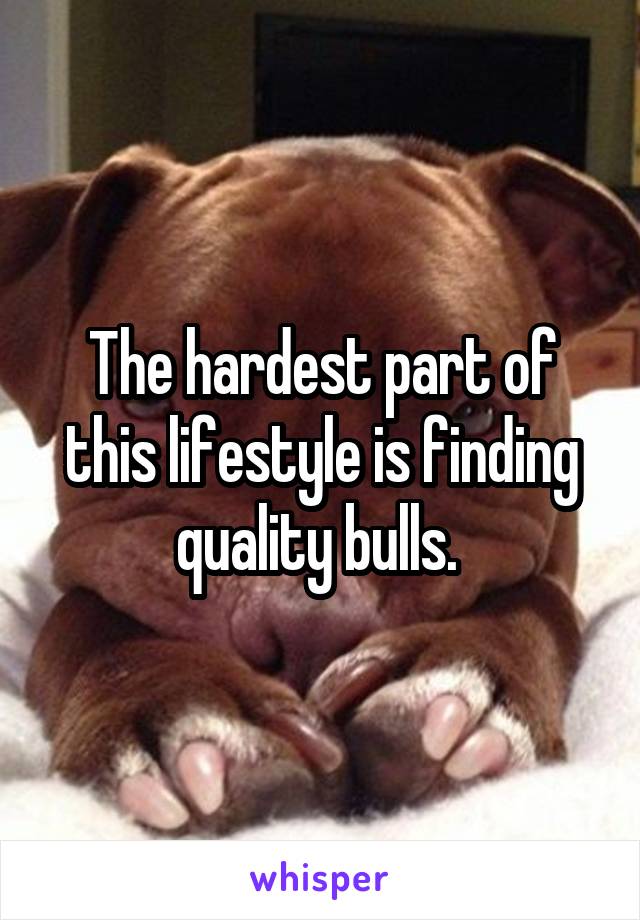 The hardest part of this lifestyle is finding quality bulls. 