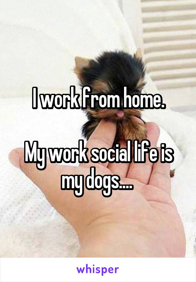 I work from home.

My work social life is my dogs.... 