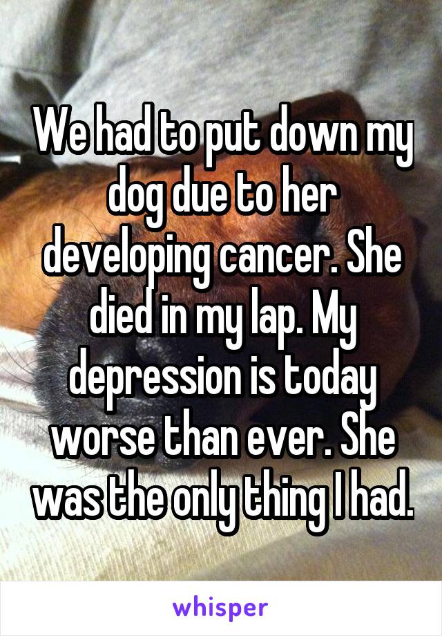 We had to put down my dog due to her developing cancer. She died in my lap. My depression is today worse than ever. She was the only thing I had.