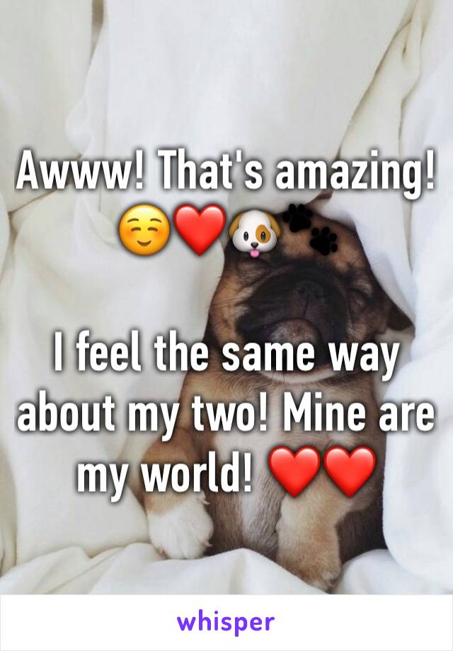 Awww! That's amazing! ☺️❤️🐶🐾 

I feel the same way about my two! Mine are my world! ❤️❤️