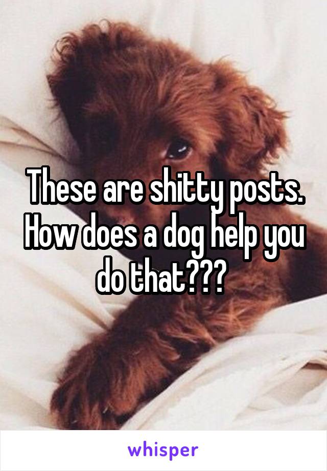 These are shitty posts. How does a dog help you do that??? 