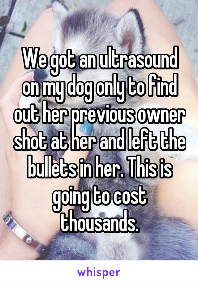 We got an ultrasound on my dog only to find out her previous owner shot at her and left the bullets in her. This is going to cost thousands.