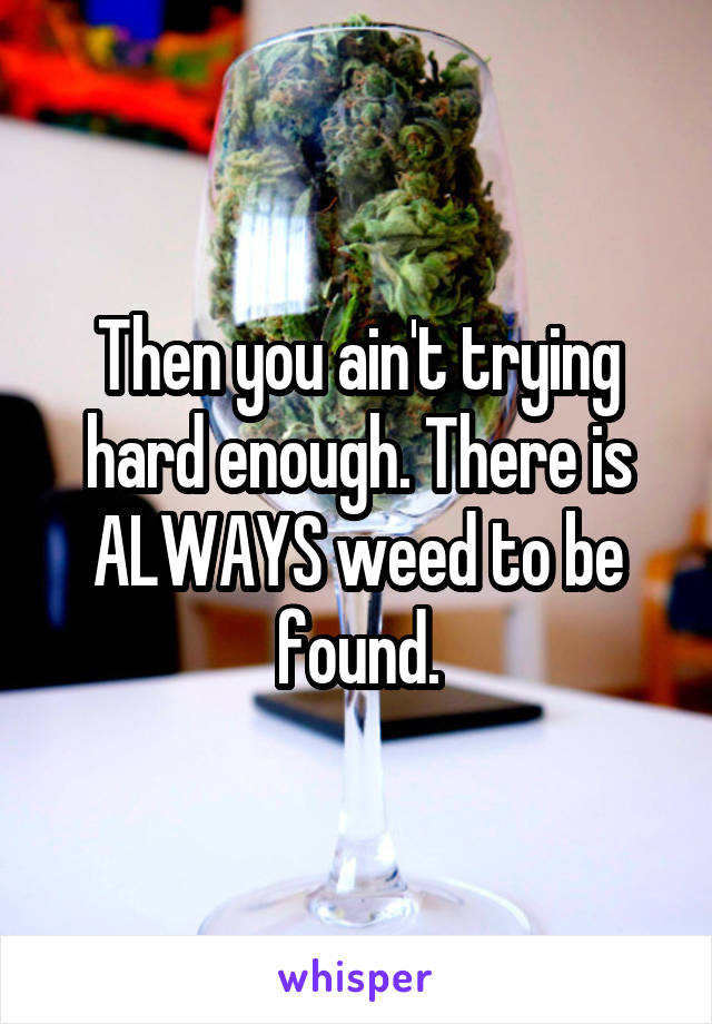 Then you ain't trying hard enough. There is ALWAYS weed to be found.