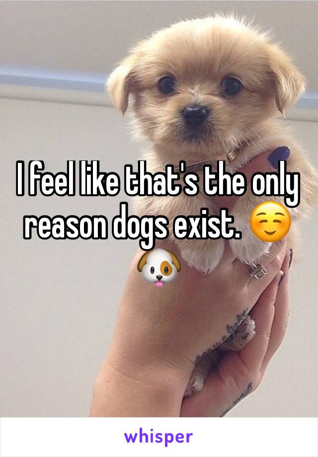 I feel like that's the only reason dogs exist. ☺️🐶