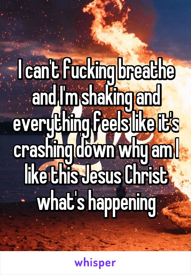 I can't fucking breathe and I'm shaking and everything feels like it's crashing down why am I like this Jesus Christ what's happening