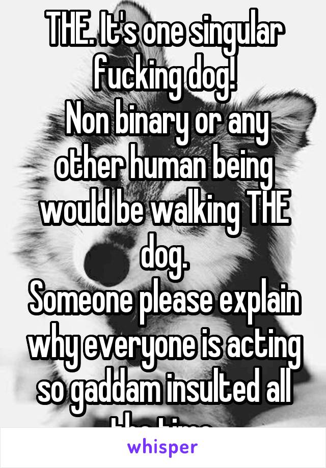 THE. It's one singular fucking dog!
 Non binary or any other human being would be walking THE dog.
Someone please explain why everyone is acting so gaddam insulted all the time.