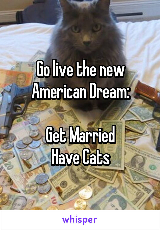 Go live the new American Dream:

Get Married
Have Cats