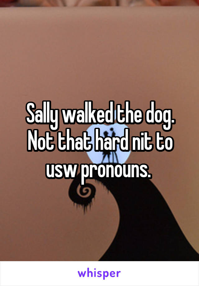 Sally walked the dog. Not that hard nit to usw pronouns. 