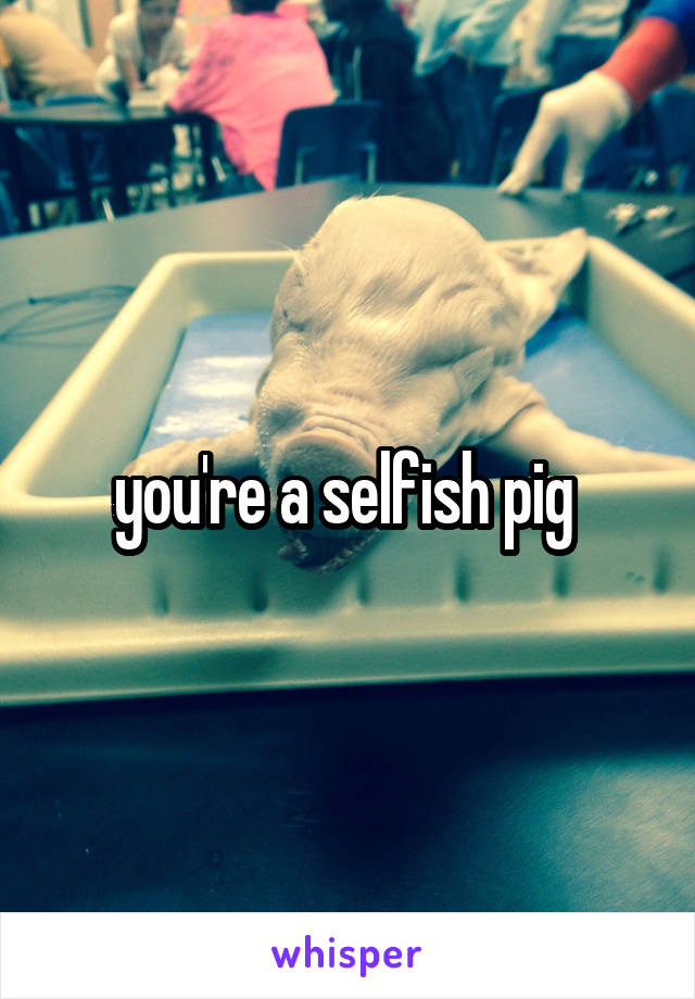 you're a selfish pig 