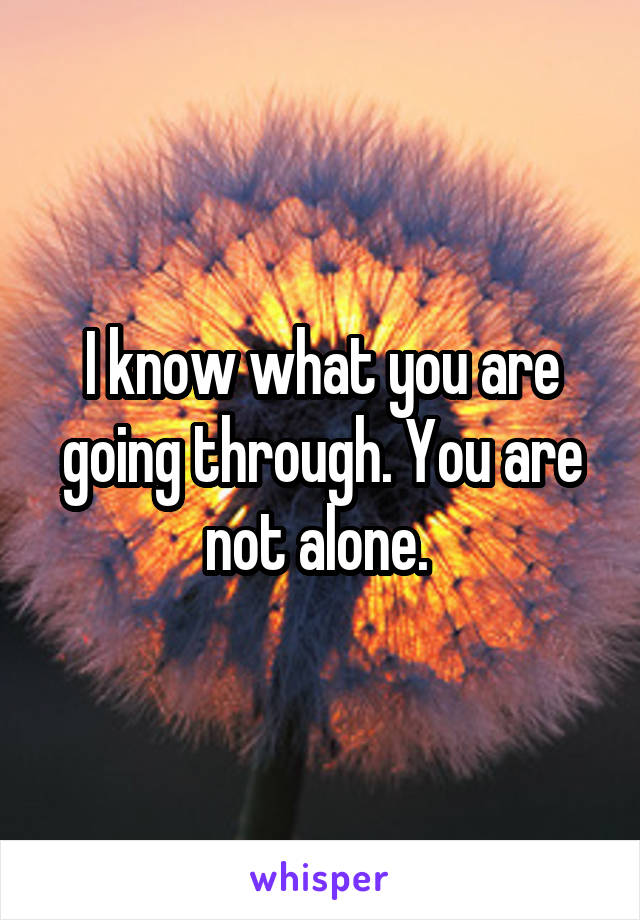 I know what you are going through. You are not alone. 