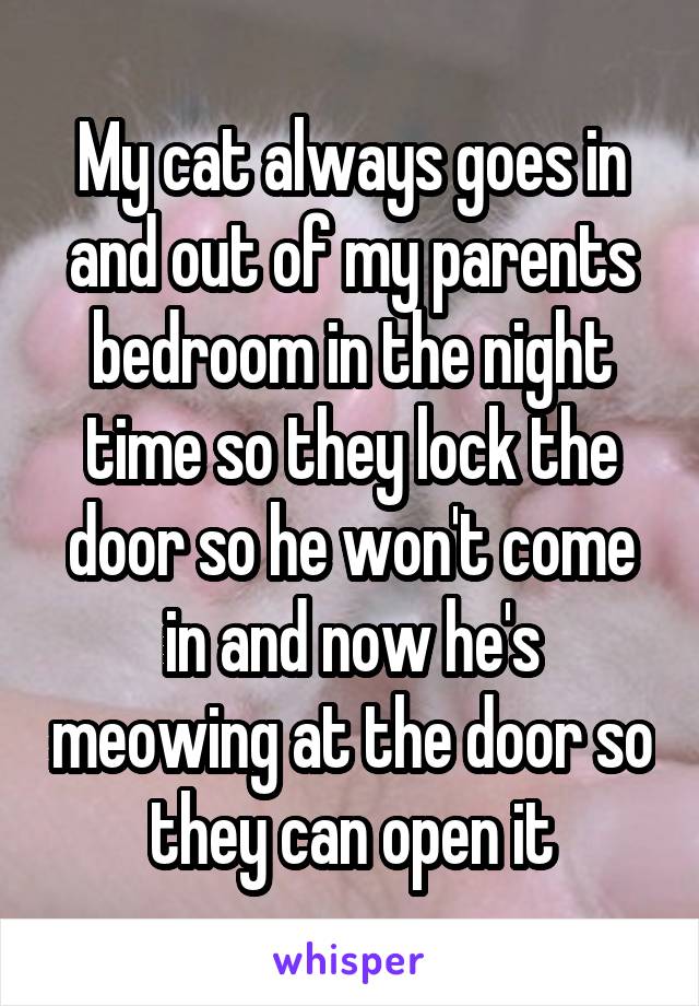 My cat always goes in and out of my parents bedroom in the night time so they lock the door so he won't come in and now he's meowing at the door so they can open it
