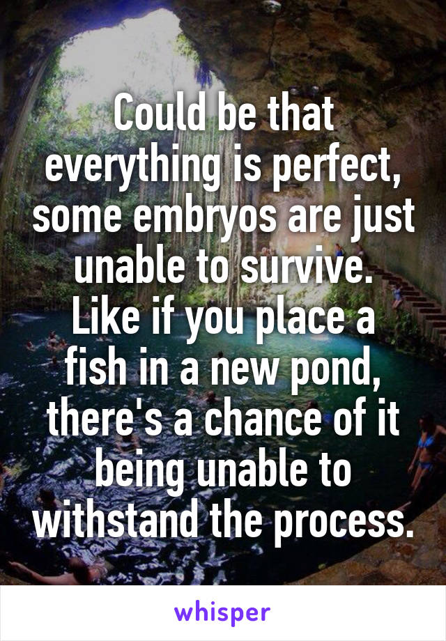 Could be that everything is perfect, some embryos are just unable to survive.
Like if you place a fish in a new pond, there's a chance of it being unable to withstand the process.