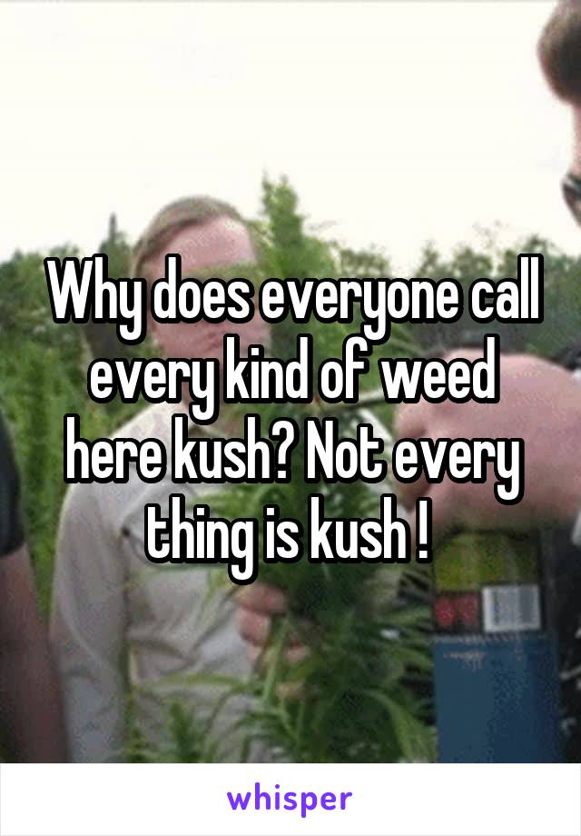 Why does everyone call every kind of weed here kush? Not every thing is kush ! 