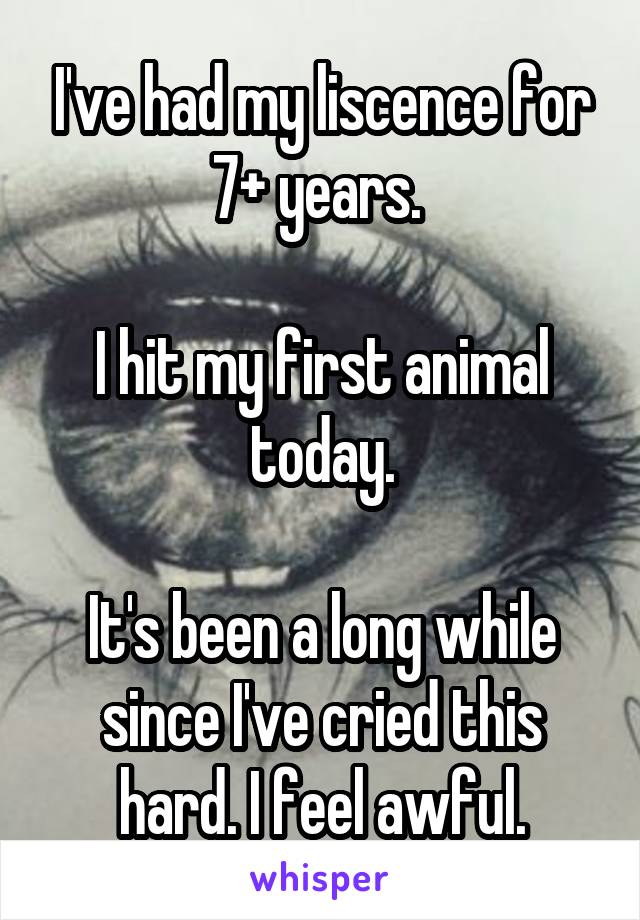 I've had my liscence for 7+ years. 

I hit my first animal today.

It's been a long while since I've cried this hard. I feel awful.