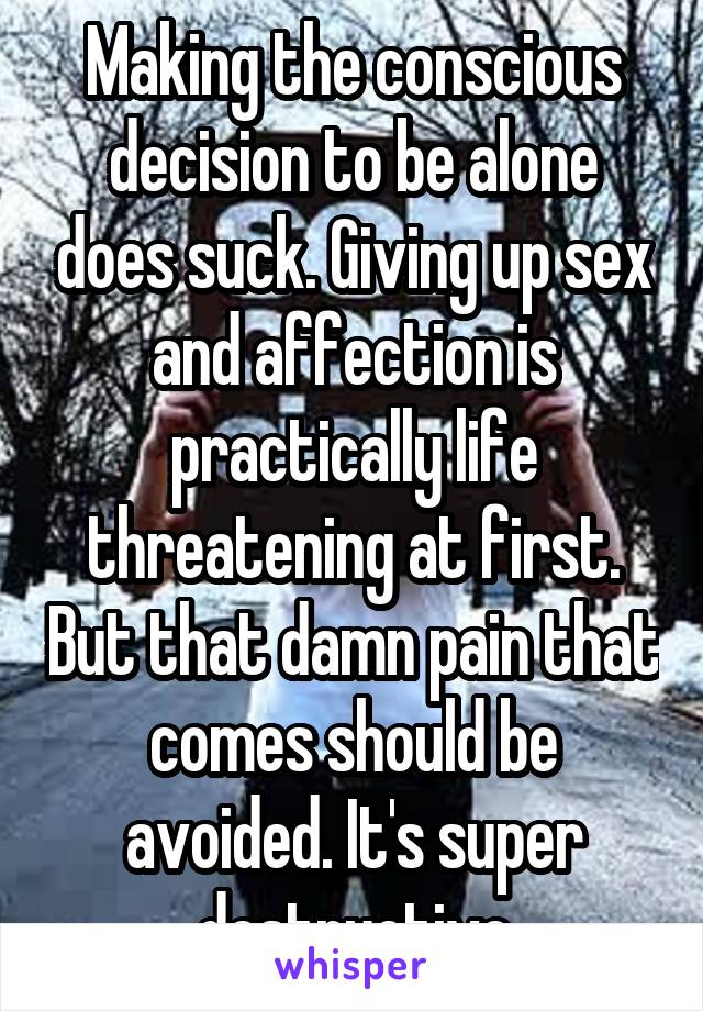 Making the conscious decision to be alone does suck. Giving up sex and affection is practically life threatening at first. But that damn pain that comes should be avoided. It's super destructive
