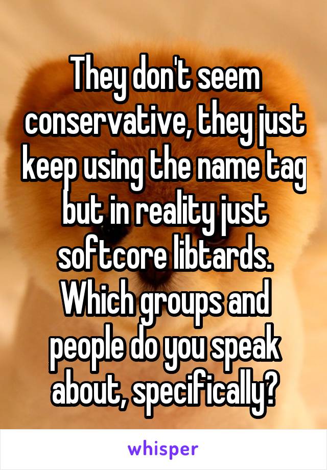 They don't seem conservative, they just keep using the name tag but in reality just softcore libtards. Which groups and people do you speak about, specifically?