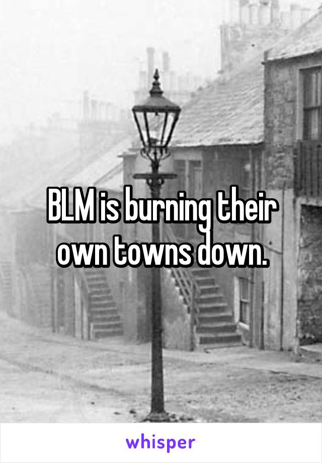 BLM is burning their own towns down.