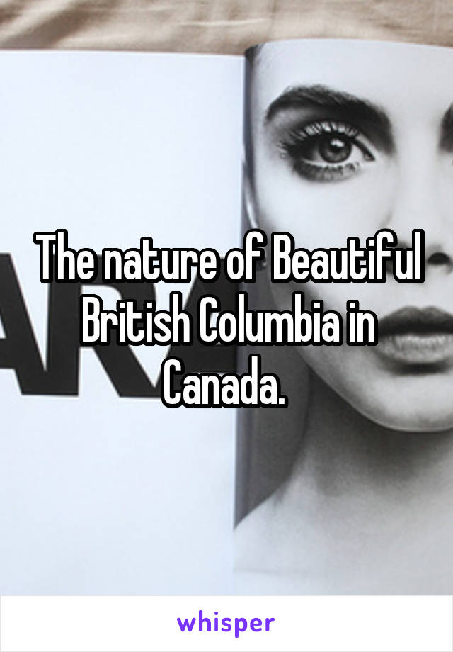 The nature of Beautiful British Columbia in Canada. 