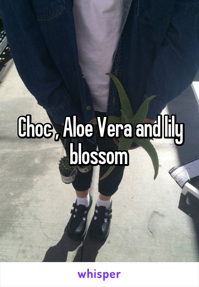 Choc , Aloe Vera and lily blossom 