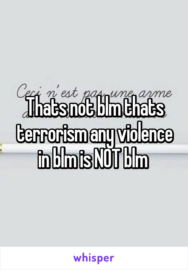 Thats not blm thats terrorism any violence in blm is NOT blm 