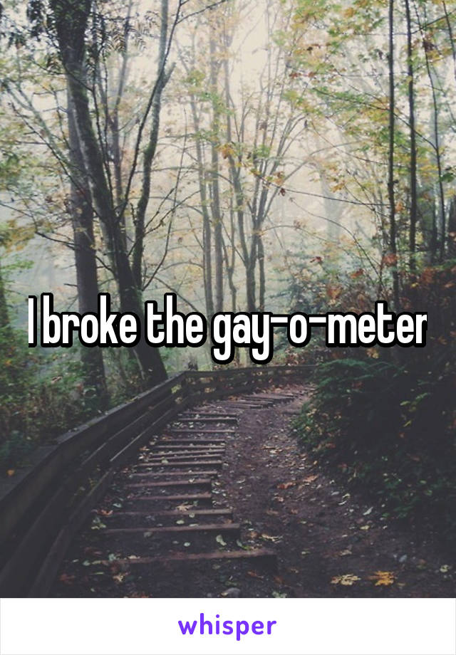 I broke the gay-o-meter