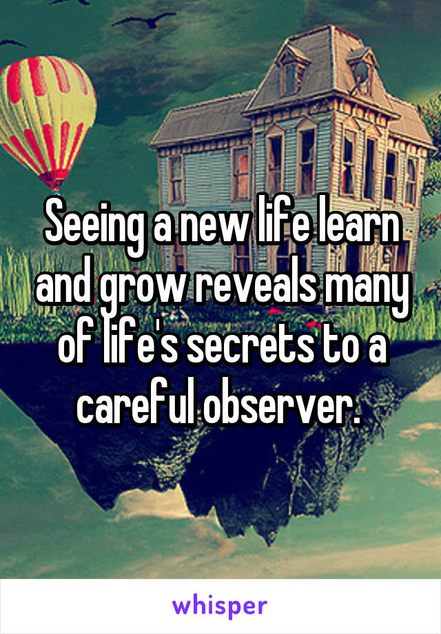 Seeing a new life learn and grow reveals many of life's secrets to a careful observer. 