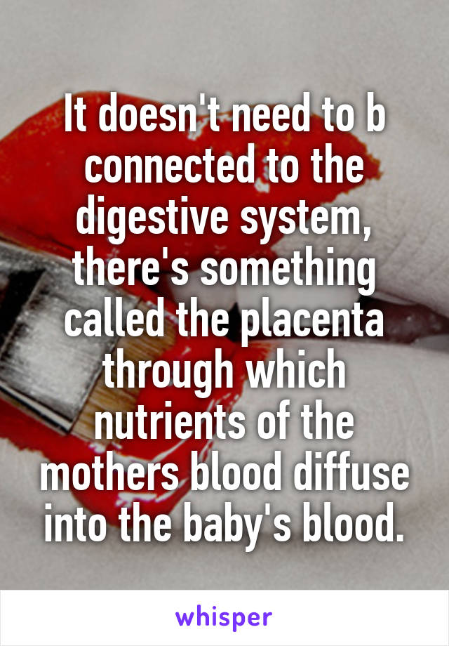 It doesn't need to b connected to the digestive system, there's something called the placenta through which nutrients of the mothers blood diffuse into the baby's blood.